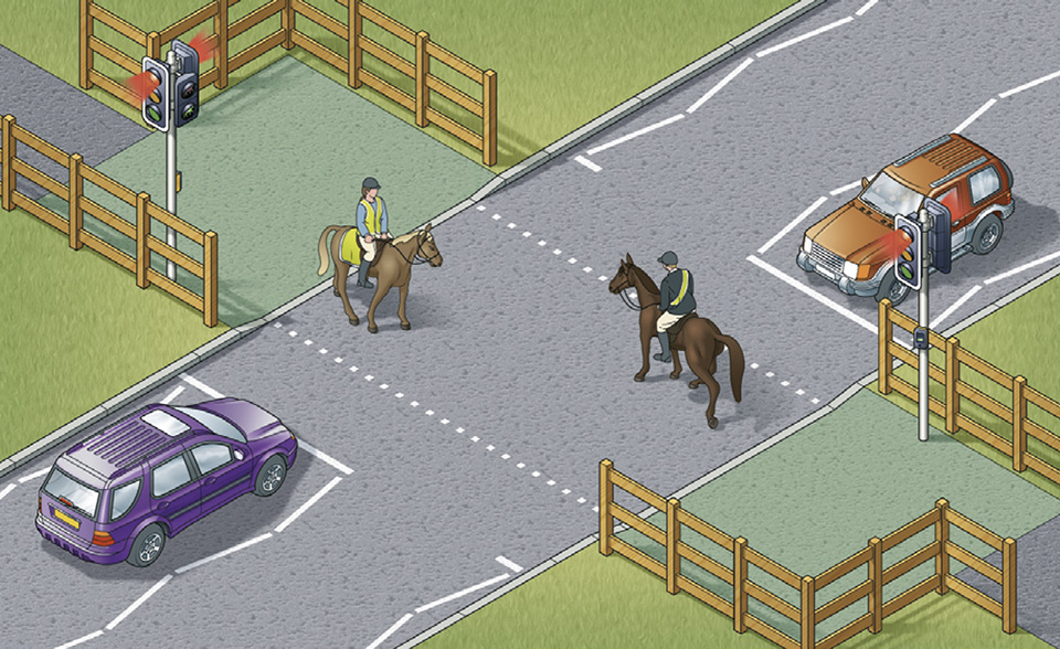 Pegasus crossing with high-level push button for horse riders